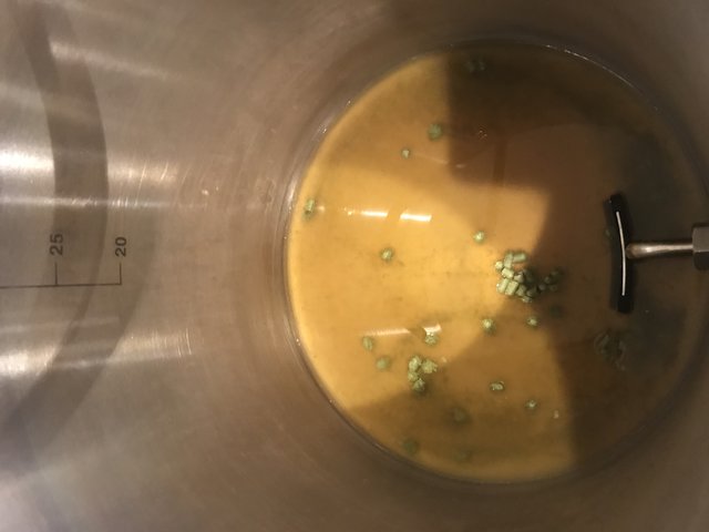 Vorderwürze mit Hopfen