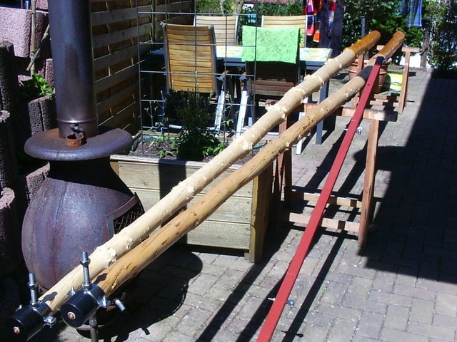 Hopfen1.JPG