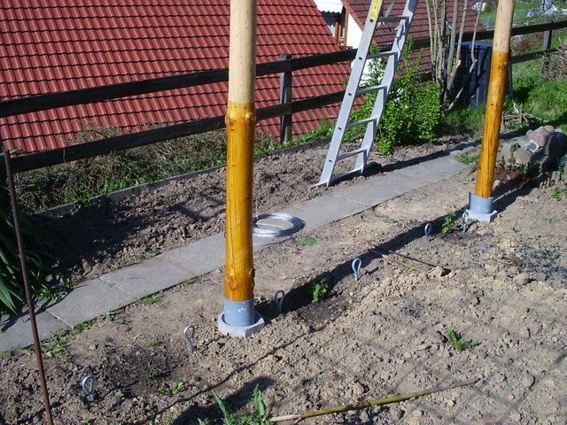 Hopfen2.JPG