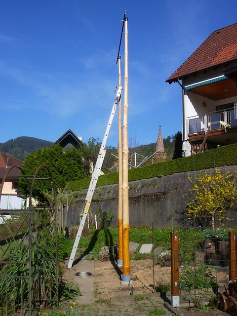 Hopfen4.JPG