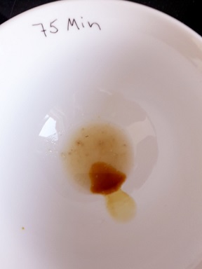 Iodprobe am Ende des Maischprogramms. Sicher ist sicher!