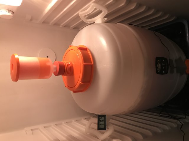 Gärbehälter mit eingebautem Thermometer
