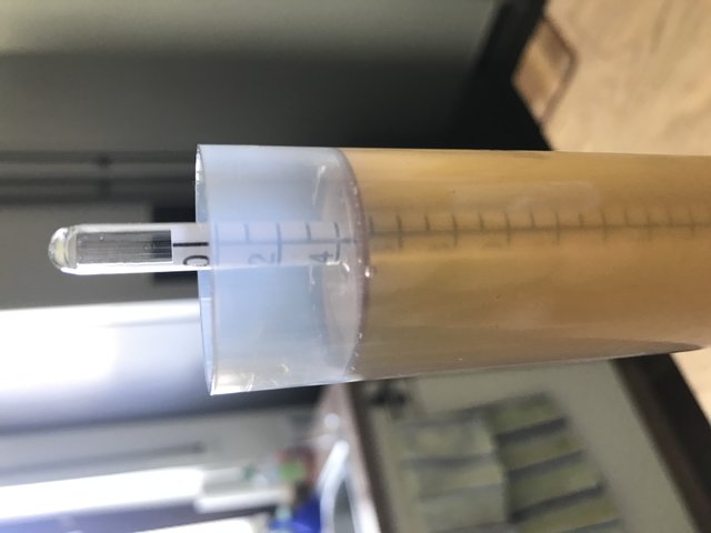 Spindelprobe