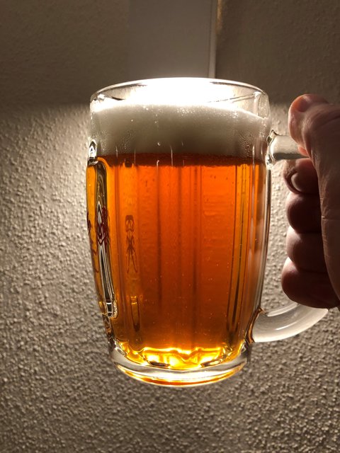 Sengenthaler Festbier.jpg