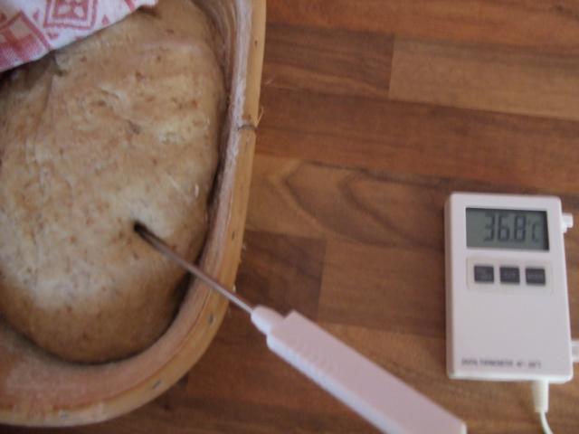 K640_Brotversuch5.JPG