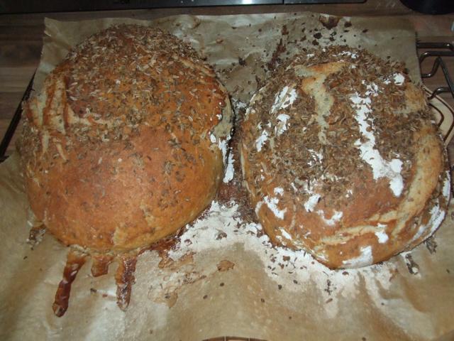 K640_Brotversuch8.JPG