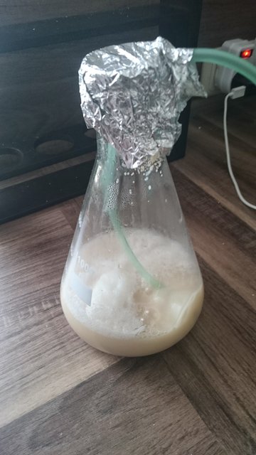 Erstmal UG Starter machen mit 11g W34
