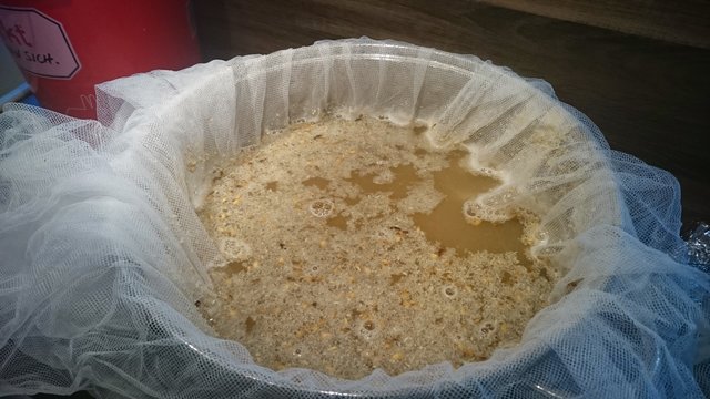Einmaischen im 15l Topf