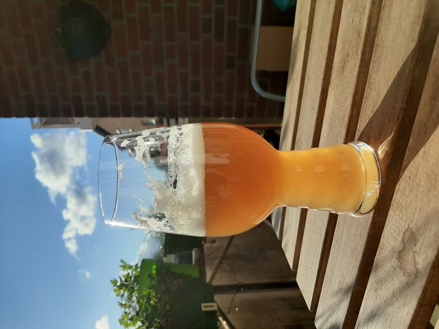 erstes Neipa