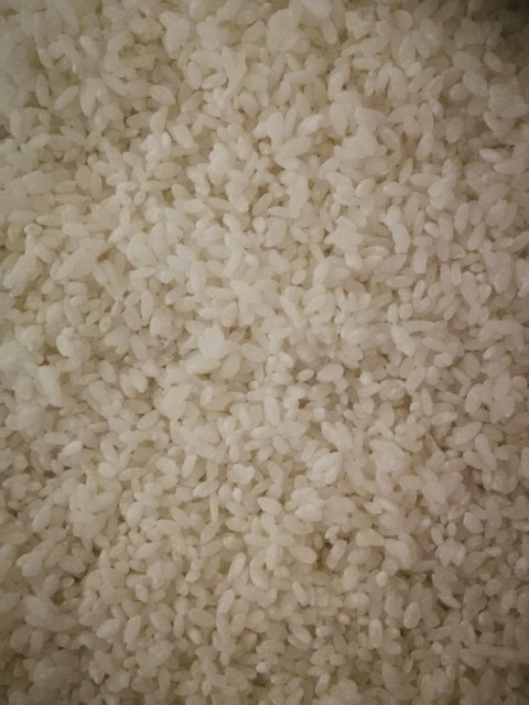 Koji2.jpg