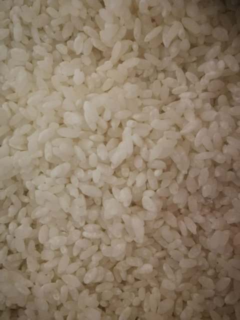 Koji3.jpg