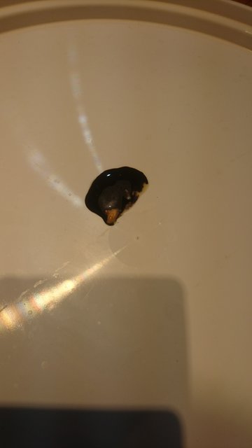 DSC_0068_copy_1920x3413.jpg