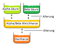 Alterung Hopfen.png