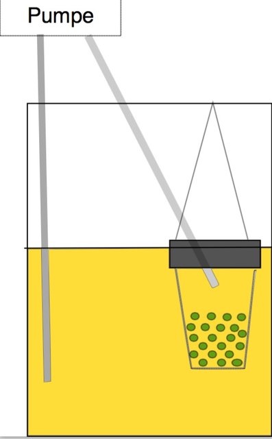 Kalthopfung_Pumpe.jpg