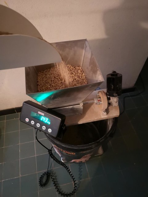 K1600_IMG_20200425_131640.JPG (135.29 KiB) 3249 mal betrachtet Beim Schroten wird das Malz direkt in die Malzmühle eingewogen, diese wird von einem Scheibenwischermotor angetrieben. Der Walzenabstand ist auf das berühmte "CD-Maß" eingestellt.