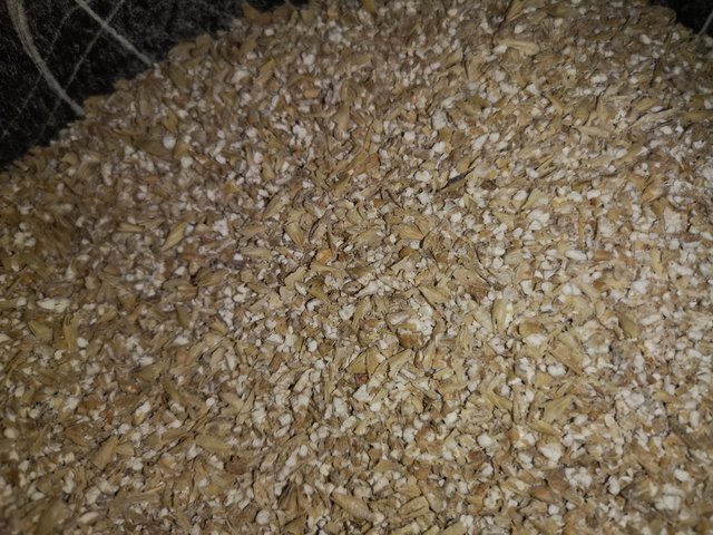 K1600_IMG_20200426_102216.JPG (373.71 KiB) 3249 mal betrachtet Schrotbild.