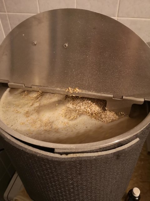 K1600_IMG_20200426_125310.JPG (192.2 KiB) 3249 mal betrachtet nachdem die zweite hälfte Eingemaischt wurde ist die Welt im Bottich wieder in Ordnung, das Störblech tut seinen Dienst und die Maische fährt nicht mehr Karussel. Die Restlichen Malznester werden schnell noch mit dem Paddel untergemischt.