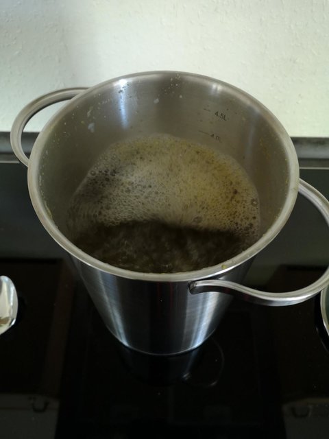 K1600_IMG_20200426_165214.JPG (120.83 KiB) 3244 mal betrachtet Kochen der Starterwürze