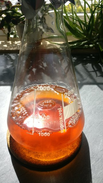 Hier kommt das Starterfutter (oder wie nennt man den Starter ohne Hefe - etwas Starter?) aus der Backröhre.