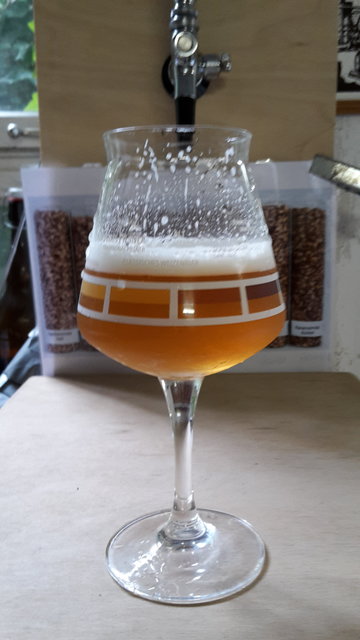 grainfather.jpg