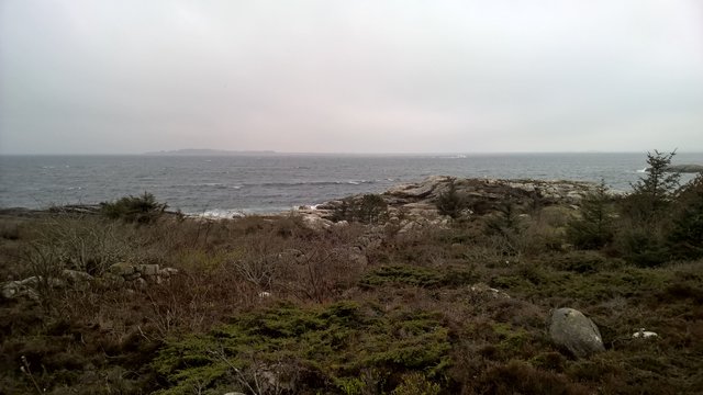 Am Samstag ging es los zum Wacholder ernten. Zum Glück wächst das Zeugs in Norwegen wie Unkraut, so dass ein kurzer Spaziergang hinterm Haus schon zum Ziel führte. Ich hätte mir sicher auch noch mein Irish Moss von den Felsen holen können.