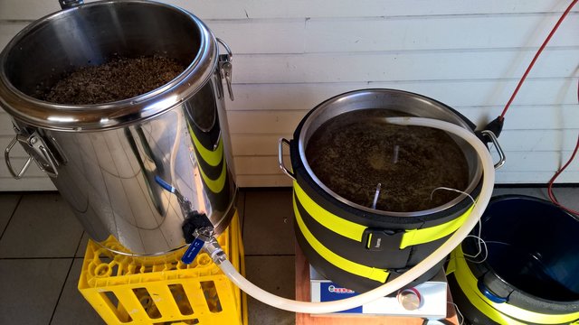 Der Rest war &quot;straight forward&quot;: 60 Minuten Kombirast, Läutern. VWH mit Pacific Gem, Pfanne voll bei 12.5°P.