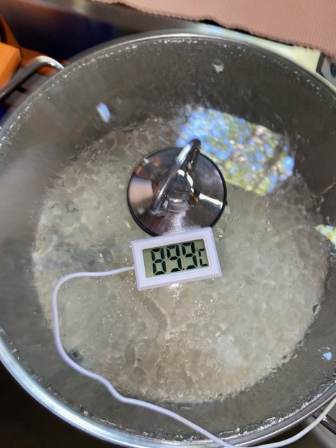 131