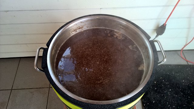 Nach der Zugabe von 3g Irish Moss 10 Min. vor Kochende klumpte das Eiweißgelumpe erst so richtig zusammen.