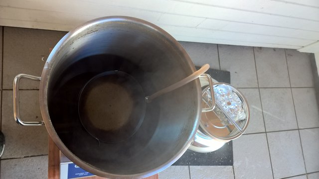 Nach dem Kochende noch einmal Pacifi Gem in den Whirlpool und dann Ausschlagen. Unschlagbar mal wieder: der Tortenring.