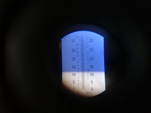 IMG_20200502_162410.jpg