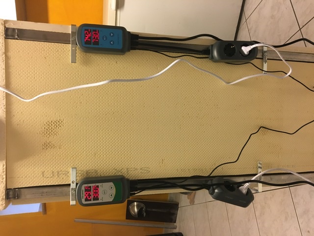 ECB0C508-0617-4632-BC31-D786DA8B0DF2.jpeg
