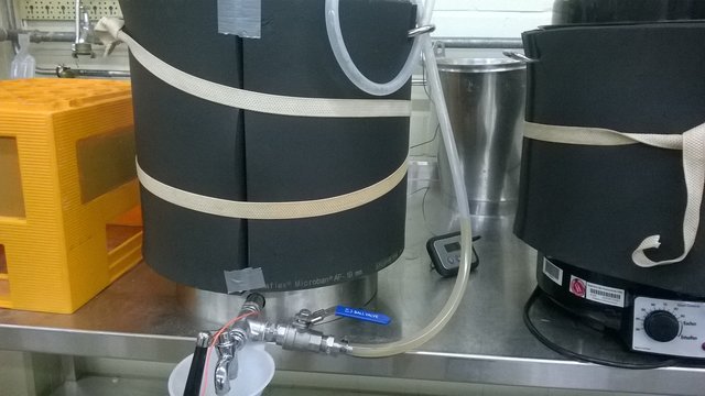 WP_20150430_003.jpg