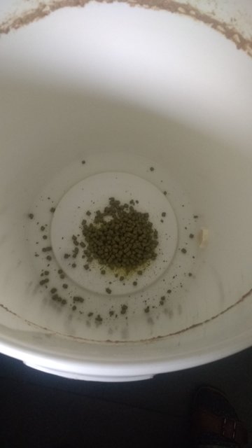 IMG-20200611-WA0006.jpeg