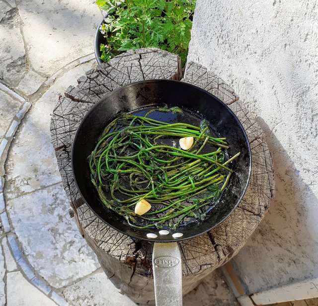 Hopfenspargel1.jpg