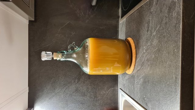 20200621_223044.jpg