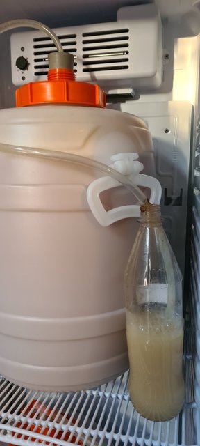 Fermenter-Hefe.jpg