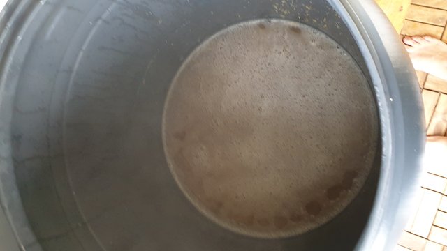 Läuterbottich.jpg