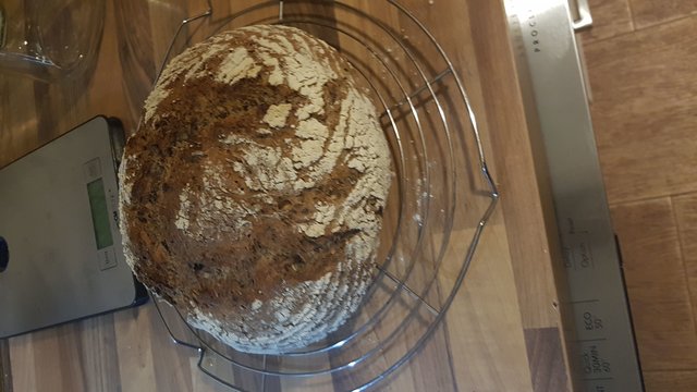 und noch ein Treberbrot gebacken....