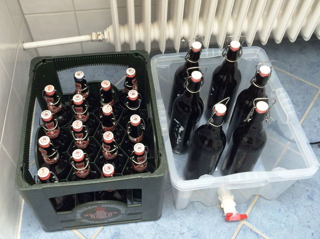 Das ganze stand dann 3 Wochen im Bad, da hatte ich die konstantesten Temperaturen, ca. 20 Grad. Danach noch ne Woche in die Garage, ca 9 Grad aktuell.