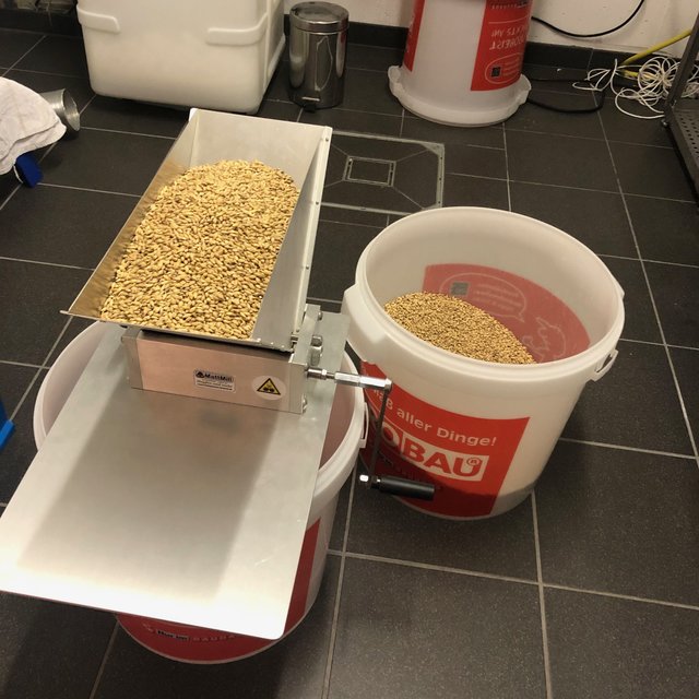 Brut IPA - 2.jpeg