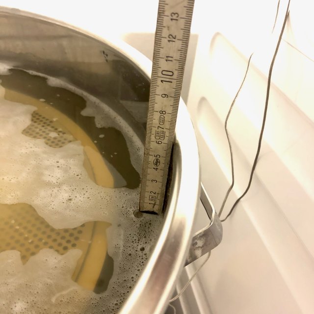 Brut IPA - 9.jpeg