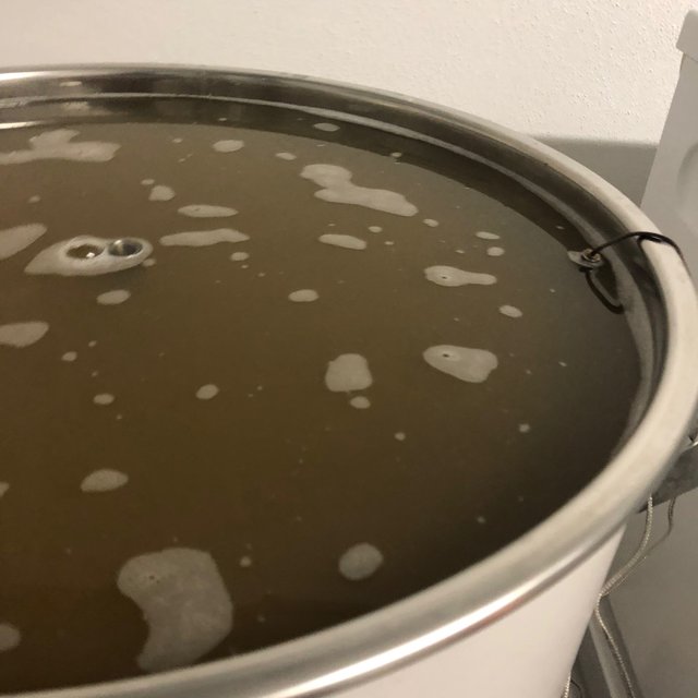 Brut IPA - 11.jpeg