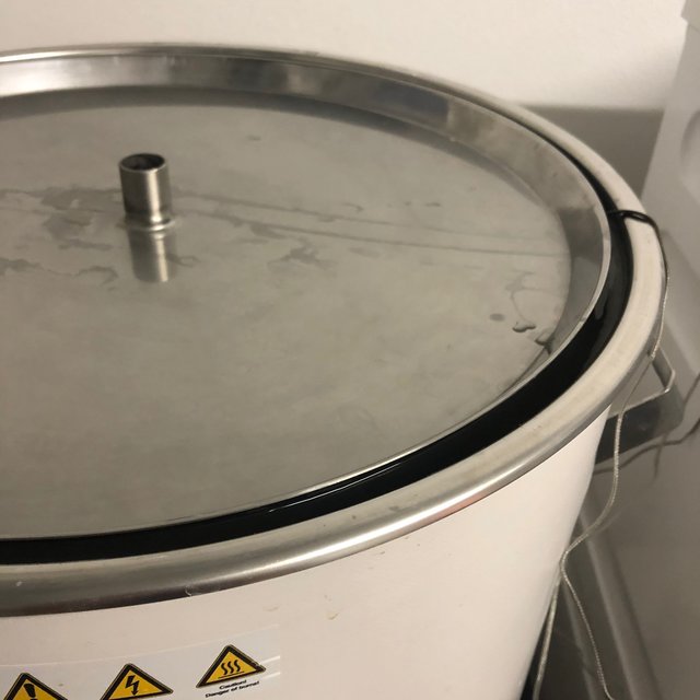 Brut IPA - 12.jpeg