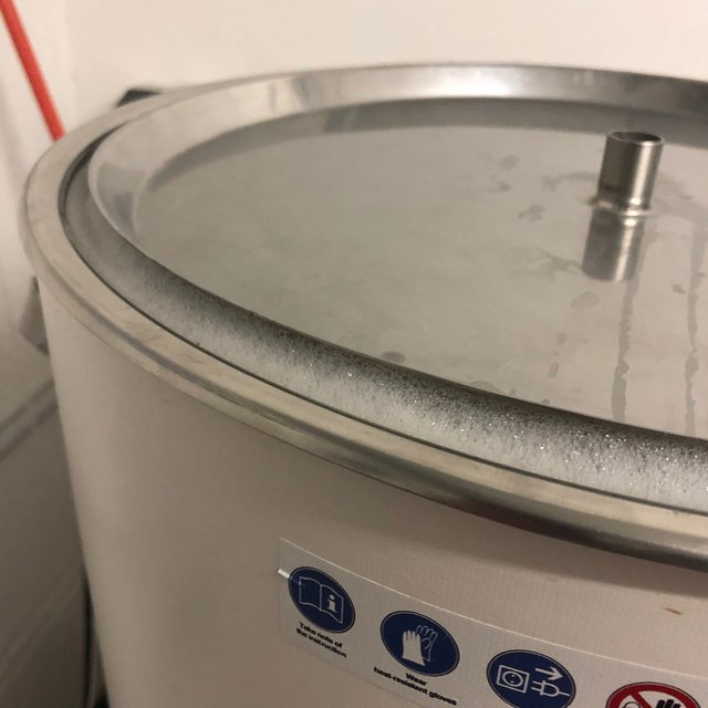 Brut IPA - 14.jpeg