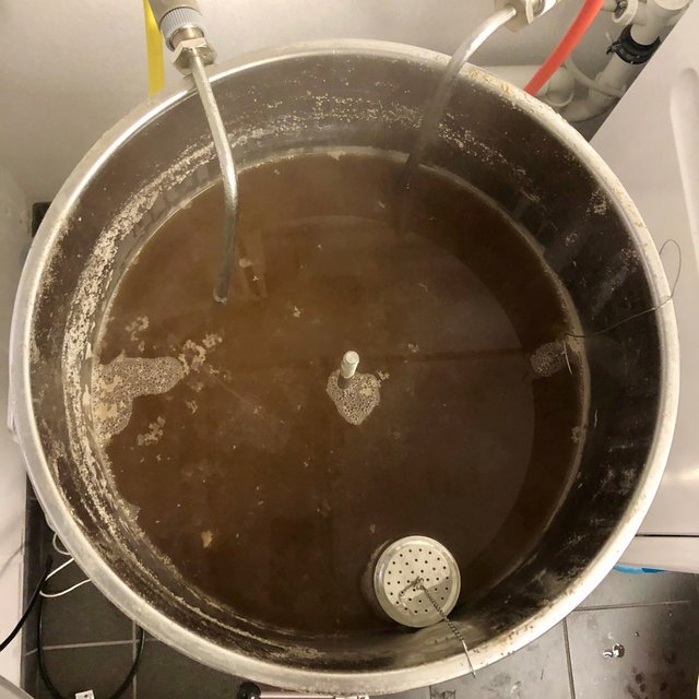 Brut IPA - 20.jpeg