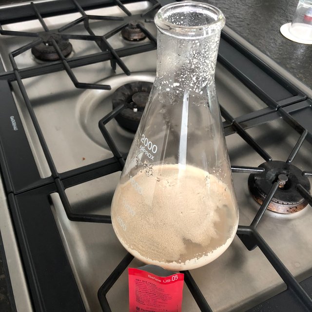 Brut IPA - 21.jpeg