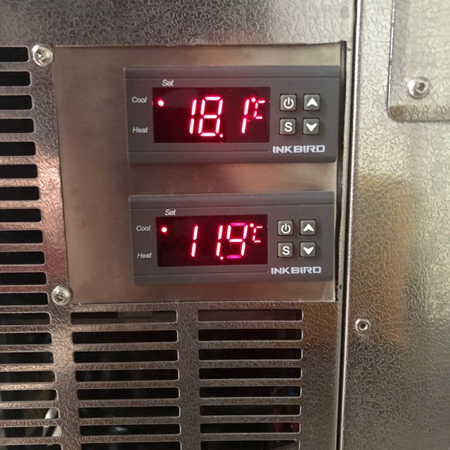 Brut IPA 2 - 5.jpeg