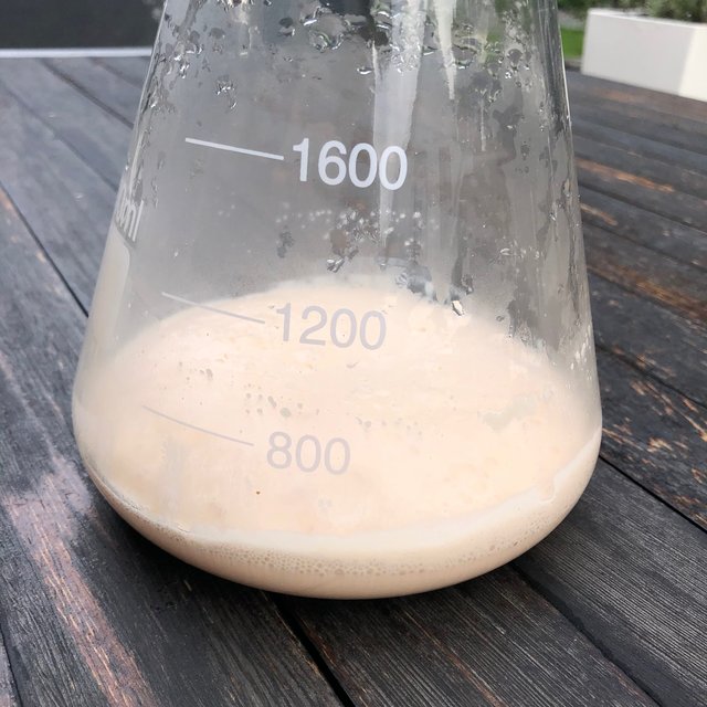Brut IPA 2 - 3.jpeg