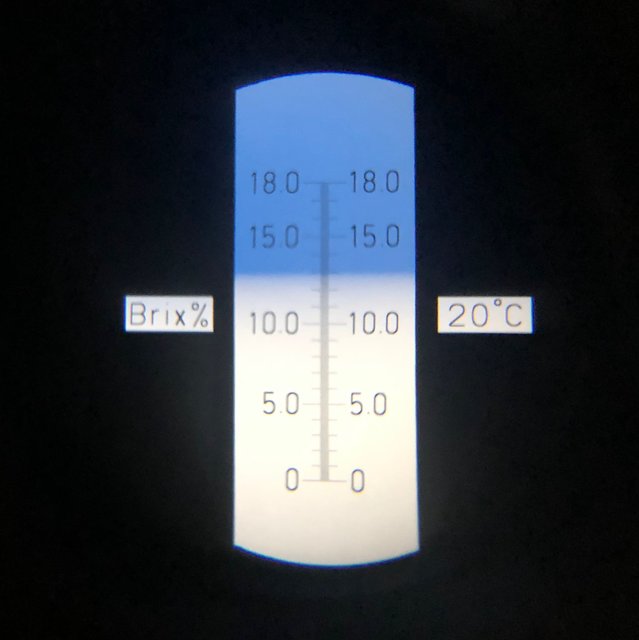 ca. 13 Brix