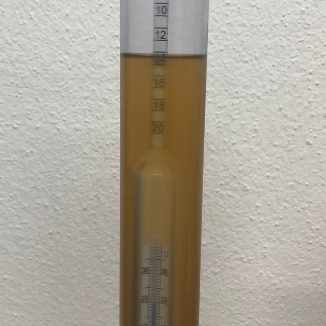 ca. 13,2°P